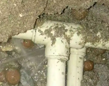 巴中市测漏水多少钱